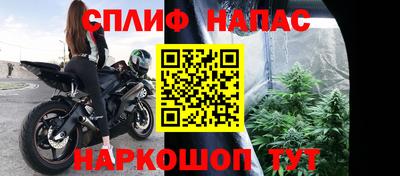 спиды Гагарин